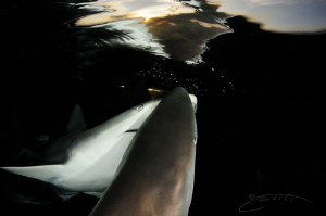 ~ Look at That! ~ by Geo Cloete 
